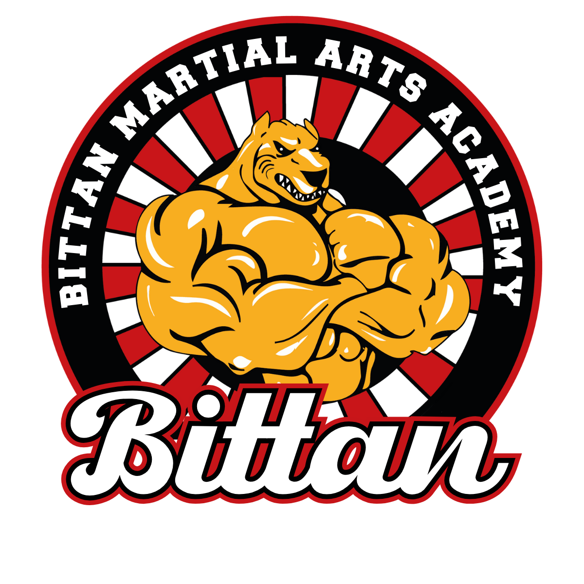 Bittan Academy Spain